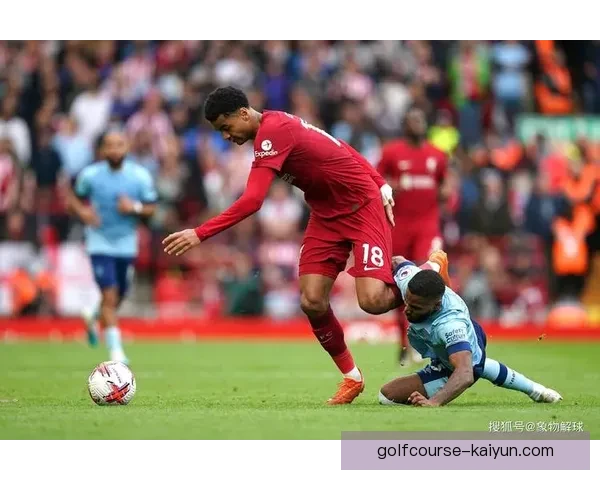 布伦特福德迎来新赛季，转会窗口引入新援状态回暖