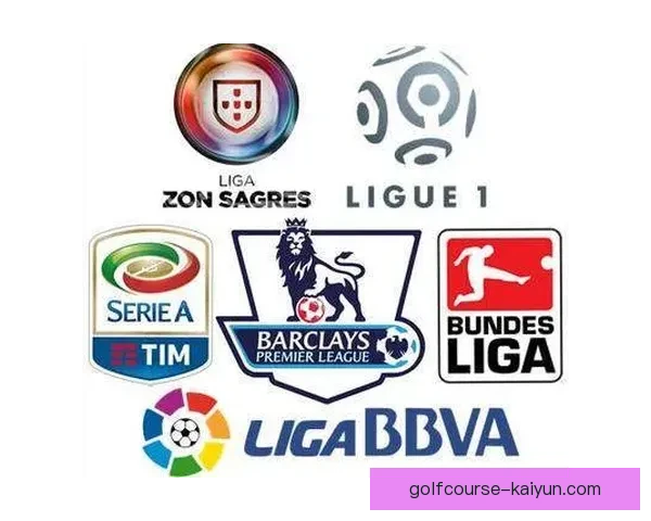 德甲外援政策的变化与球队竞争力增强趋势分析