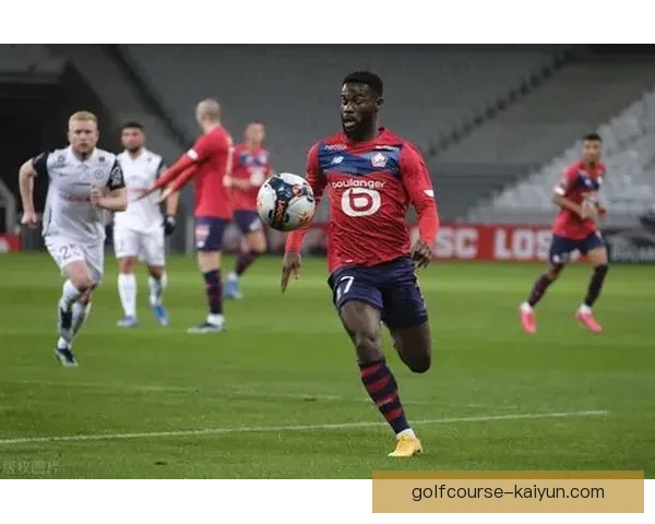 里尔球队结构分析：阵容布局与战术执行呈现出竞争力增强的趋势